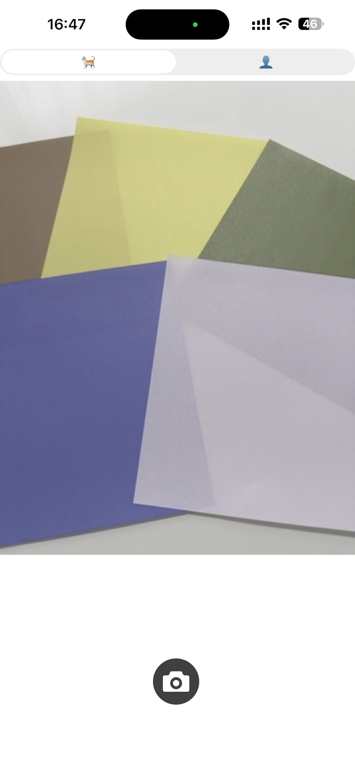 A cat’s view of the world