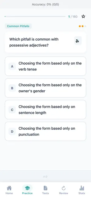 French Grammar Practice screenshot 2