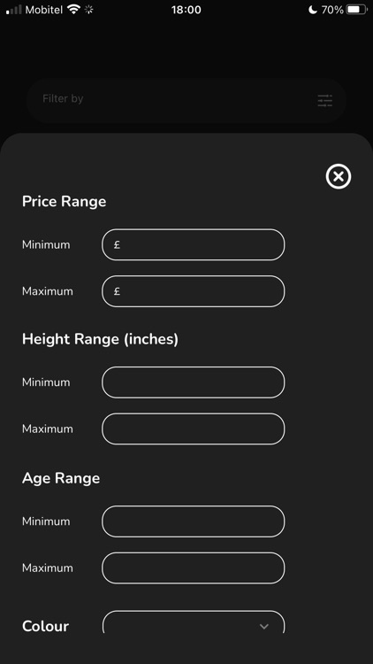 Find My Pony screenshot-3