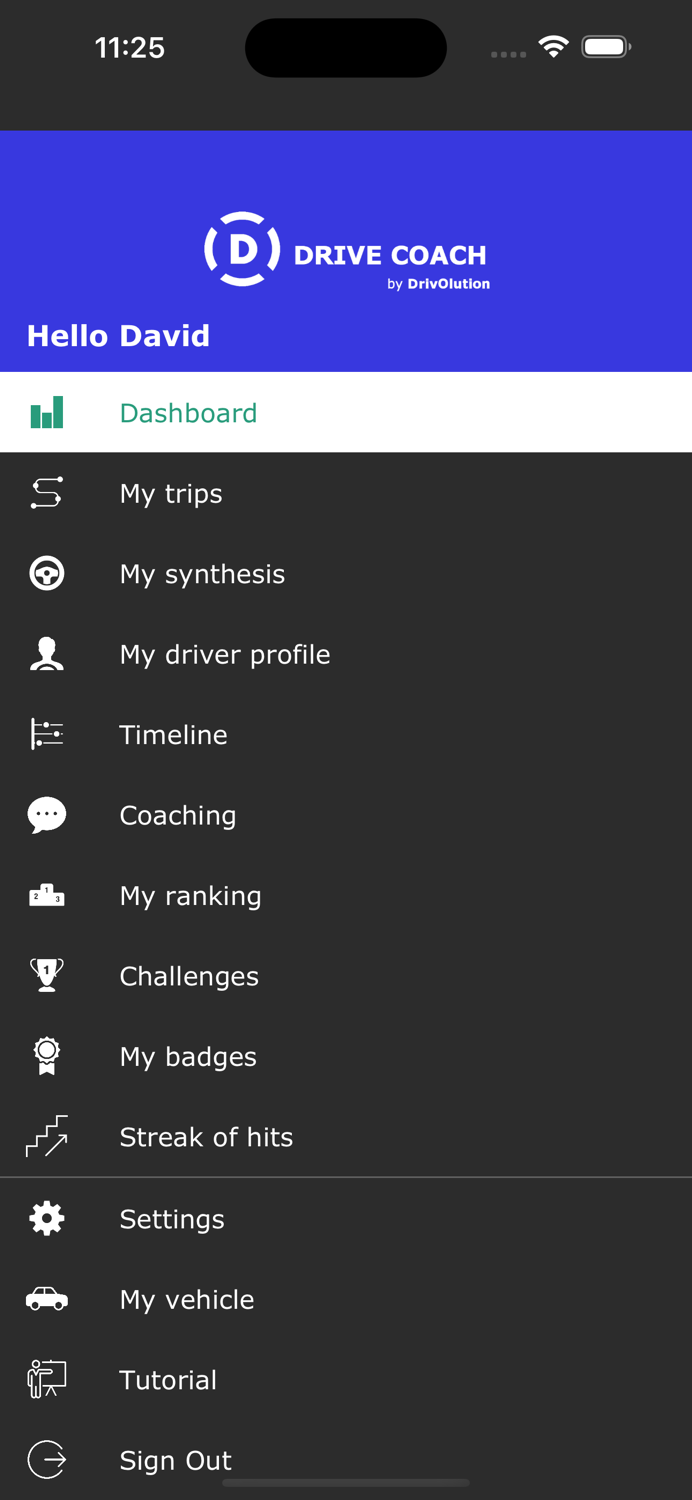 DRIVE COACH by DrivOlution