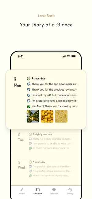 Lemory: Gratitude Journal screenshot 4