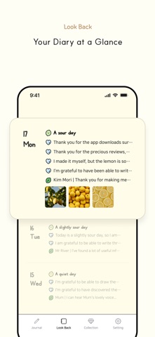 Lemory: Gratitude Journal Screenshot 4 of 9