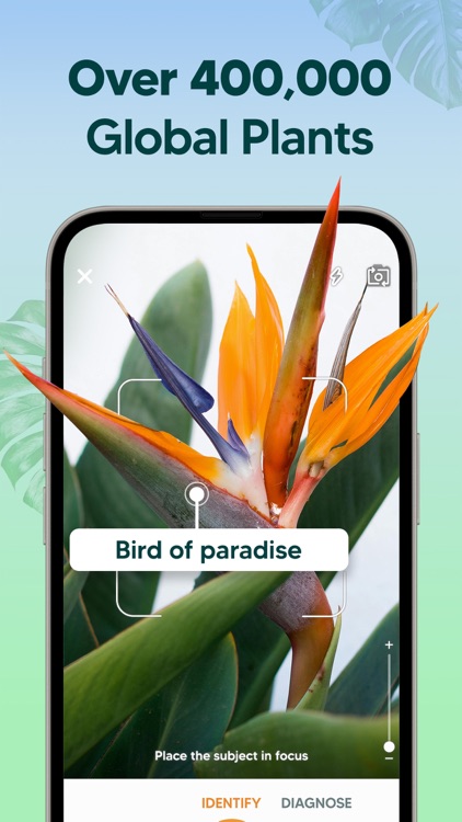 AI Plant Identifier: Care & ID screenshot-6