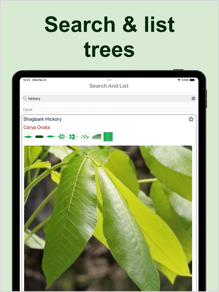 #4. Forest Tree Identification (iOS) Podle: Kesifler Dunyasi Ltd.