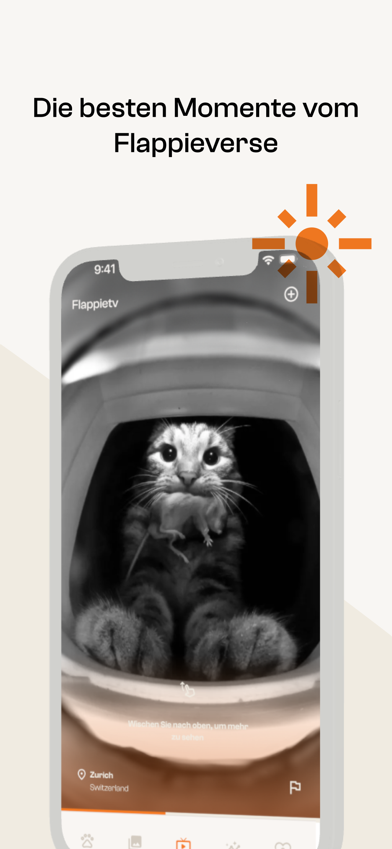 Flappie Smart Cat Door