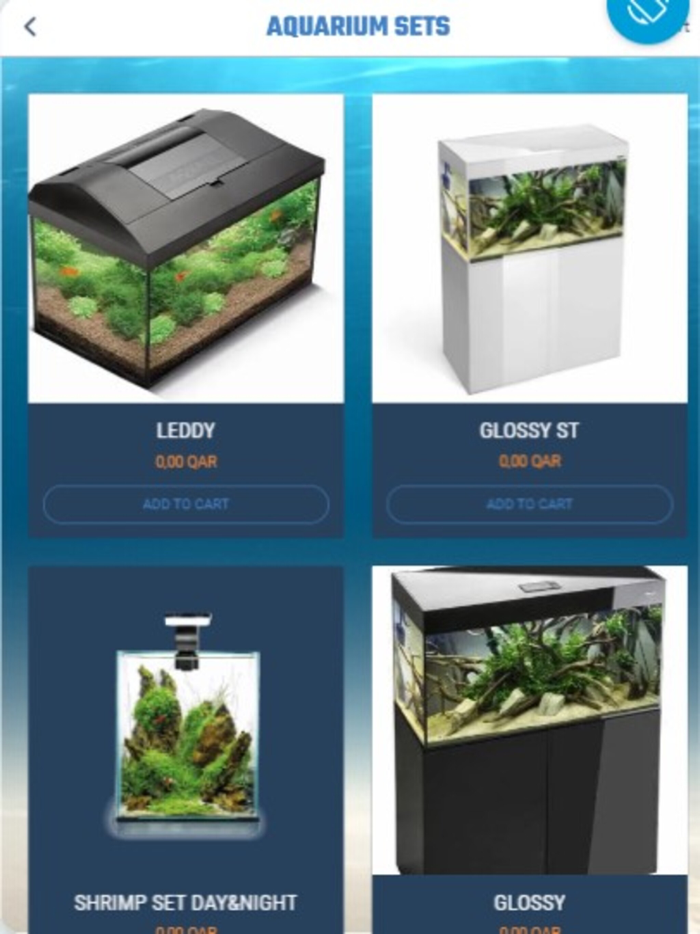 Blue Marine Life Qatar