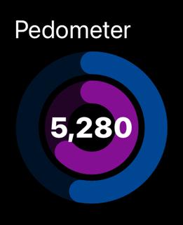 Pedometer Plus screenshot 5