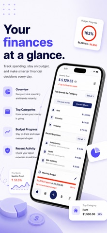 Expense Tracker AI Budget Screenshot 3 of 9