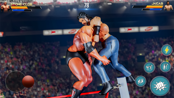 Real Wrestlers Championship 3D
