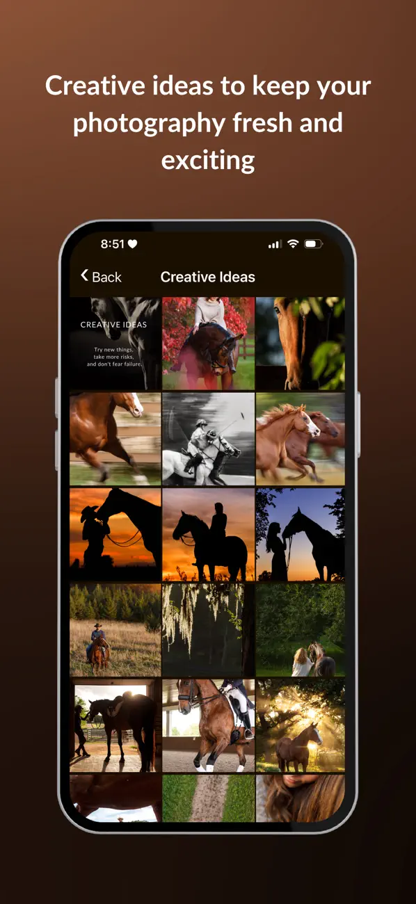 Screenshot #3 pour EquiCapture
