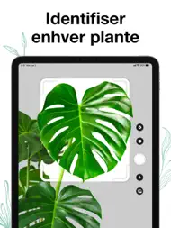 Plant Air: Identifiser planter ipad bilder 0