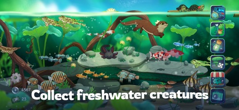 Pondlife — Relaxing Fish Game - Users can observe a vibrant array of freshwater species, from colorful koi to playful frogs, alongside the helpful presence of the otter guide, Lilly.