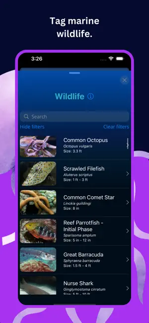 Digidive screenshot 4