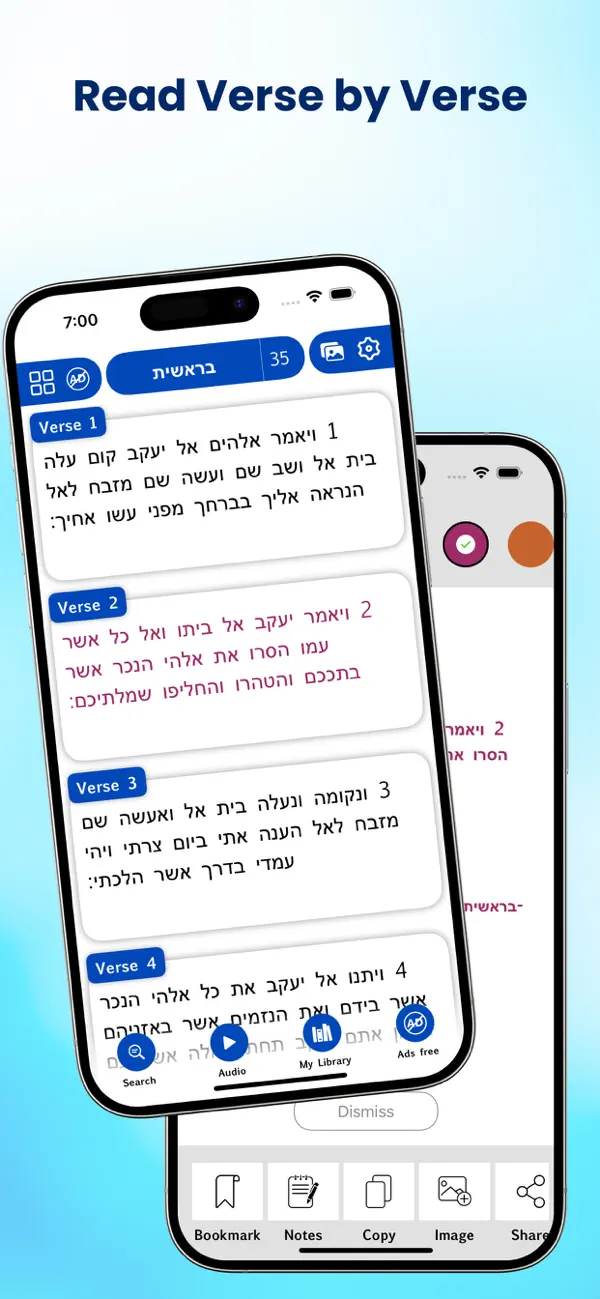 Screenshot #1 pour Hebrew Bible Offline