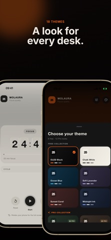 Molaura: Focus & Flip Timer screenshot 5
