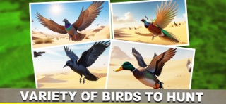 Pheasant Bird Hunting Game 3D iPhone screenshot