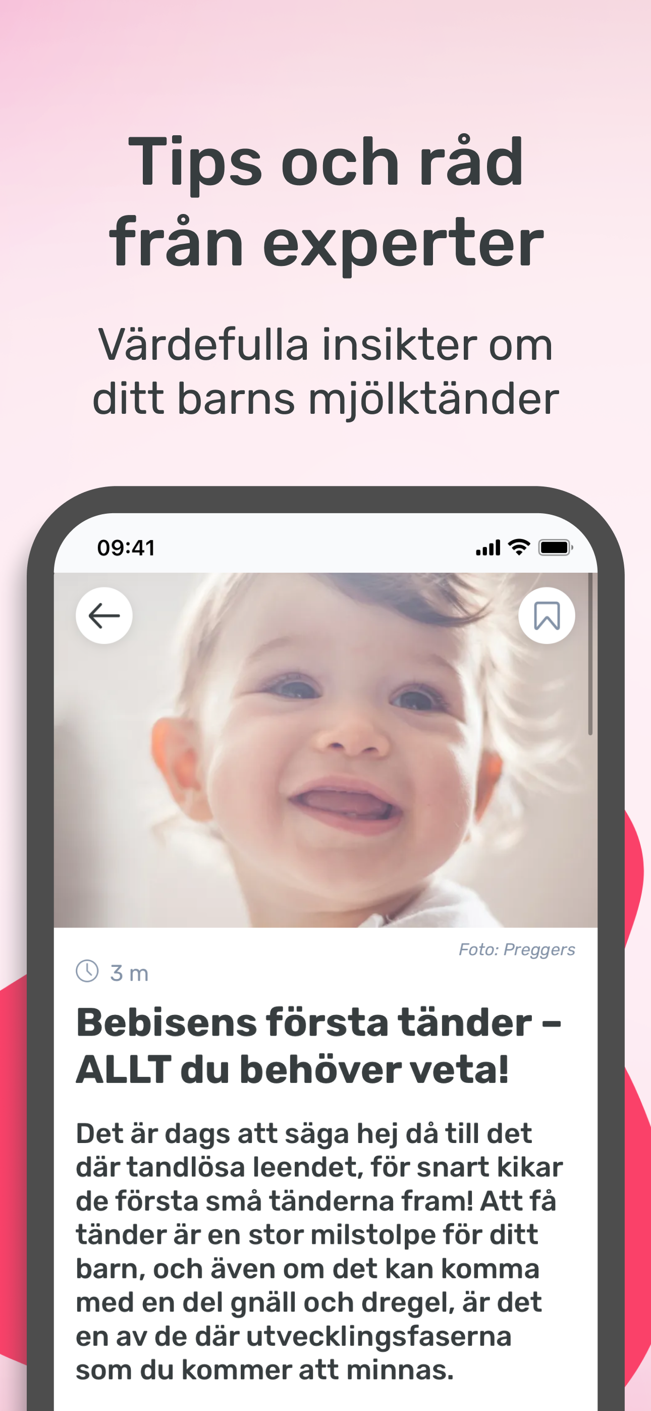 IBofK
