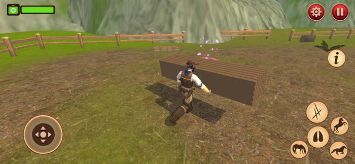 Wild Horse Family Life Game