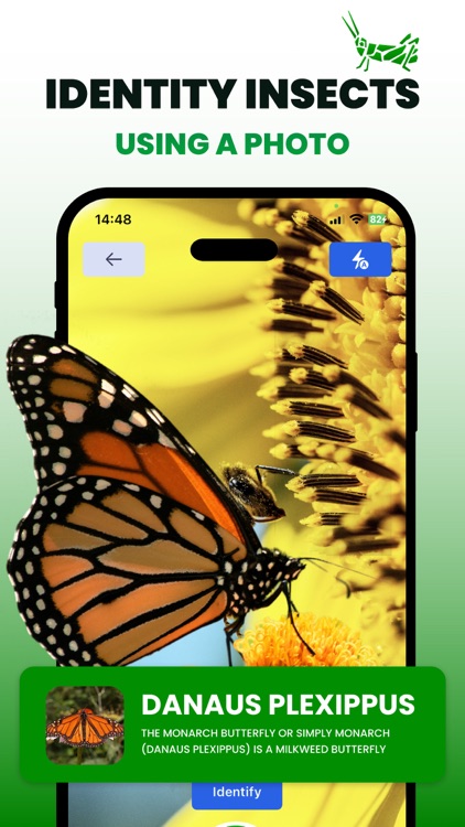 Bug Identifier: Insect Finder