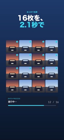PlateGuard：ナンバー消しアプリ screenshot