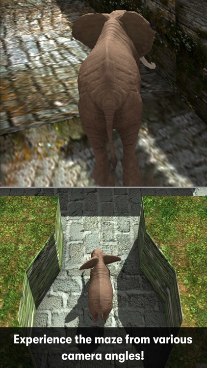 3D Maze - Relaxing Puzzle screenshot-6