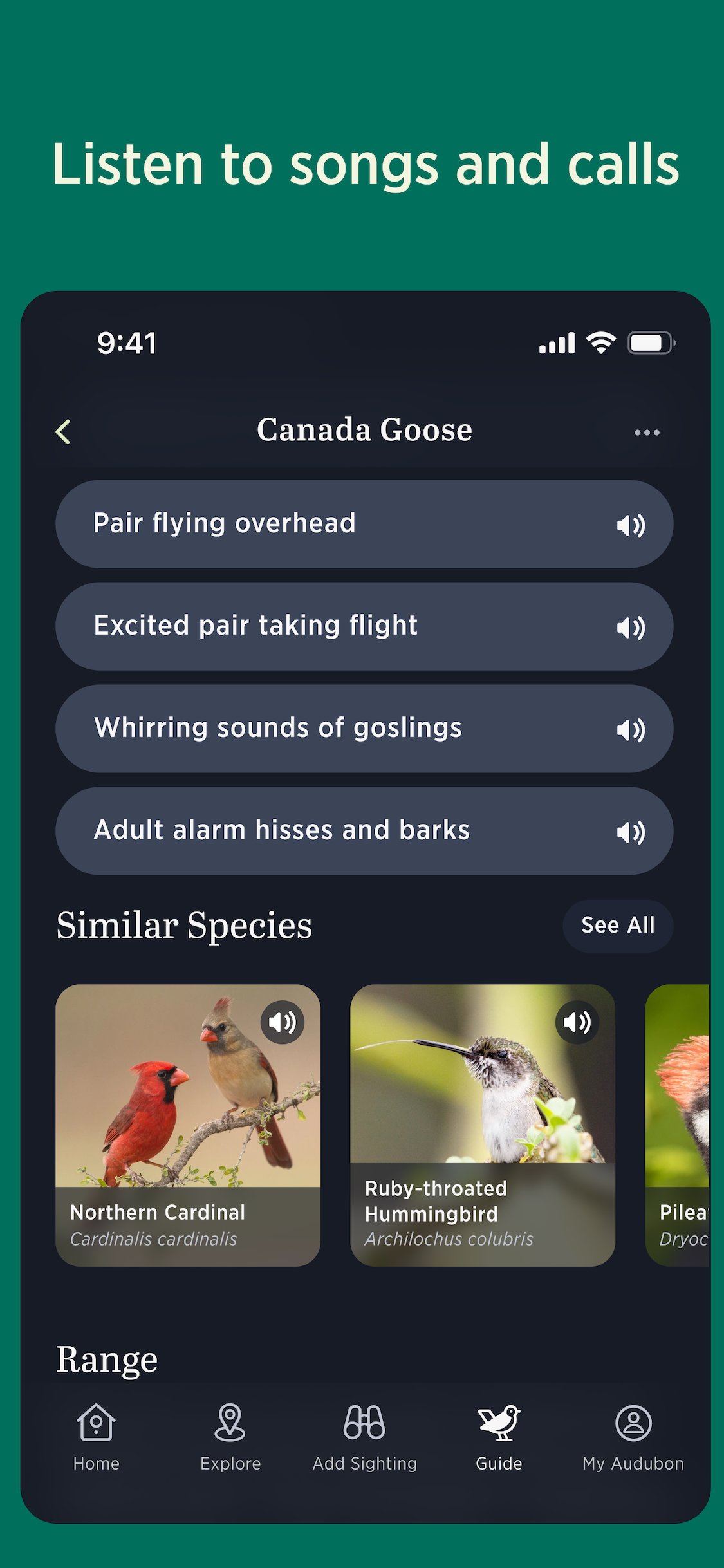 Audubon Bird Guide