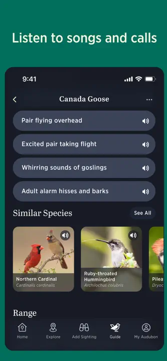 Audubon Bird Guide: Screenshot 4 von 6