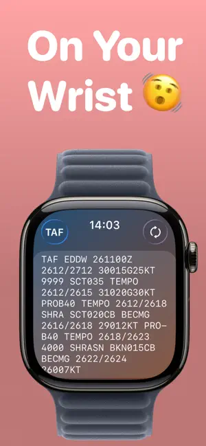 Just METAR screenshot 4