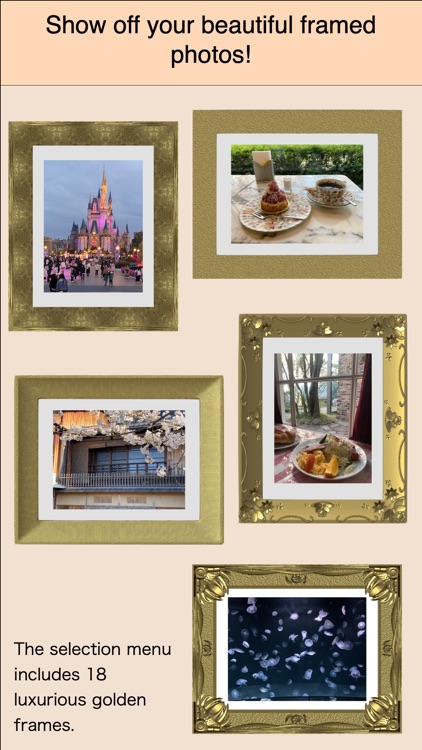 in The Picture Frame screenshot-3