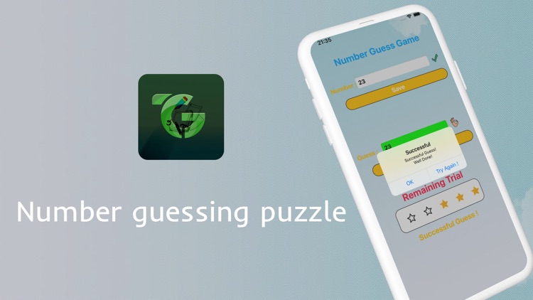 Number guessing puzzle