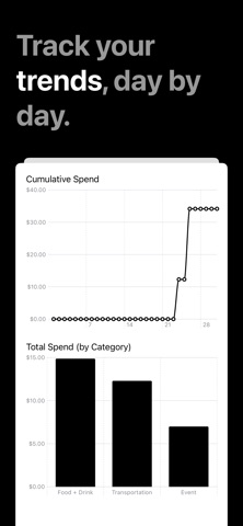 Daily Dime Expense Tracker screenshot