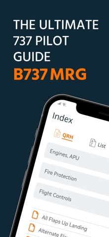 B737 MRG Screenshot 1 of 10