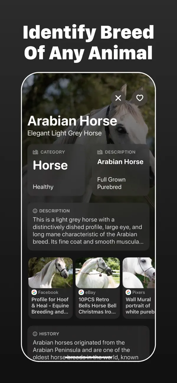 #6. Vision・Identify Anything (iOS) Ved: Myriad Studios