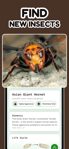 Insect Identification: SnapBug Screenshot 2 of 4