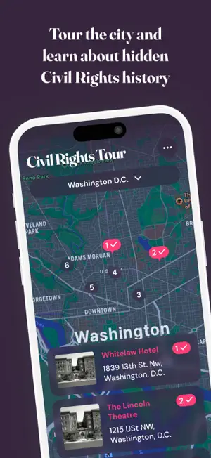 Civil Rights History America screenshot 1