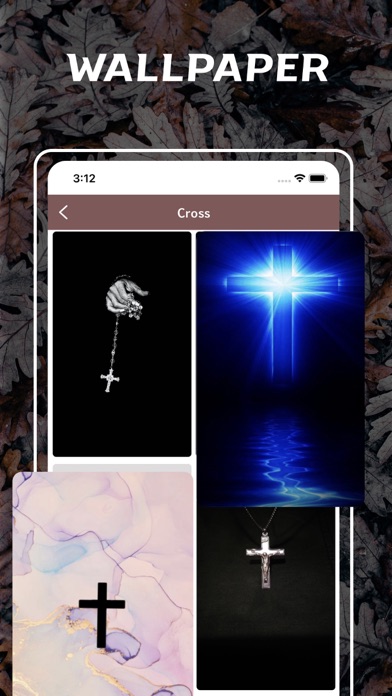 Bible Latinoamericana Screenshot
