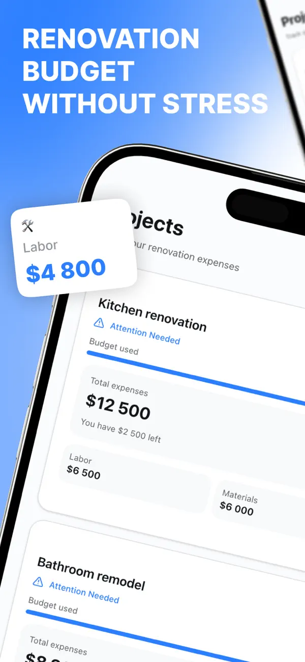 Screenshot #1 pour Budget Repair