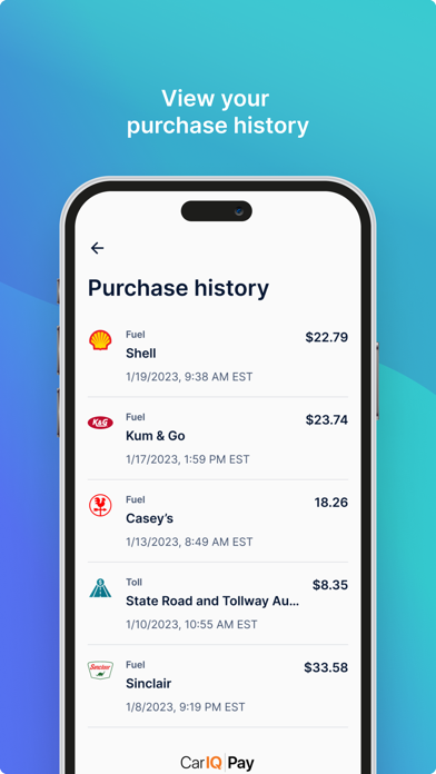 Car IQ Pay Screenshot