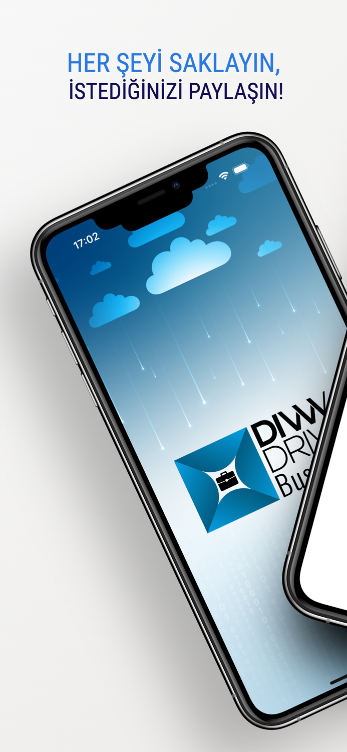 DivvyDrive Business
