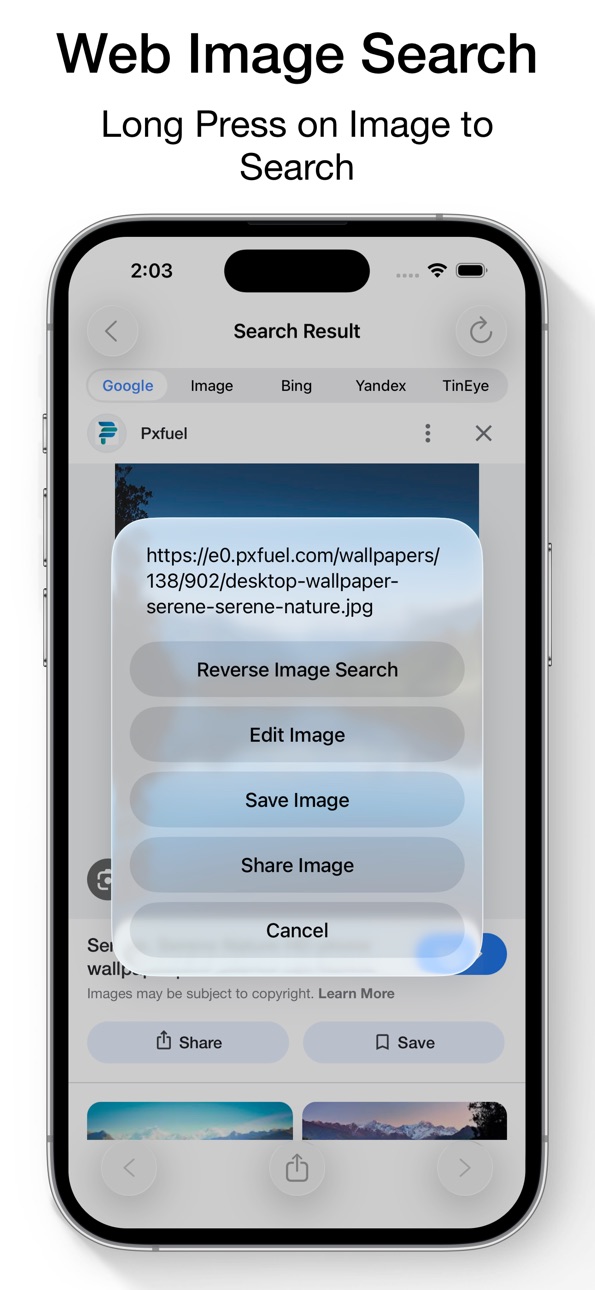 Reverse Image Search App Hack screenshot 3 - iOS app interface