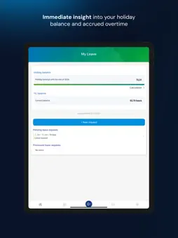 Dyflexis screenshot 10