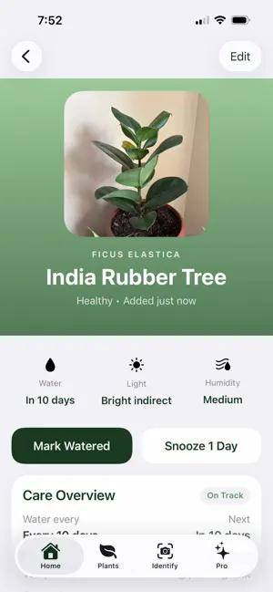 Suolo: Plant Identifier screenshot 2