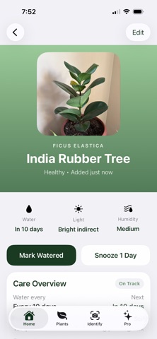 Suolo: Plant Identifier Screenshot 2 of 6
