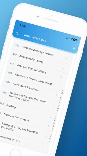 New York Laws screenshot 2