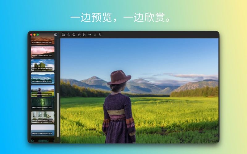 Picser - 图片浏览与查看器 screenshot