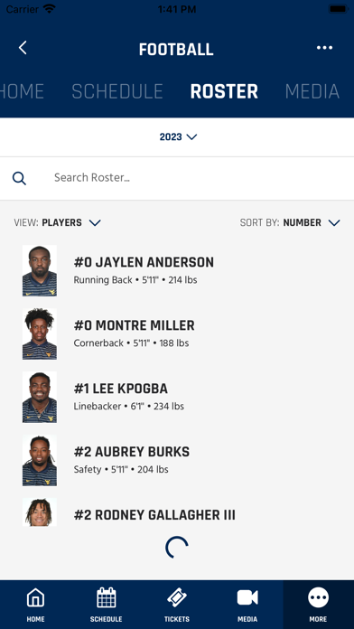 West Virginia Mountaineers Screenshot