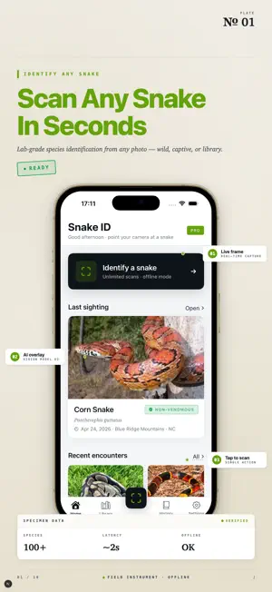 Snake Identifier AI Scanner screenshot 1