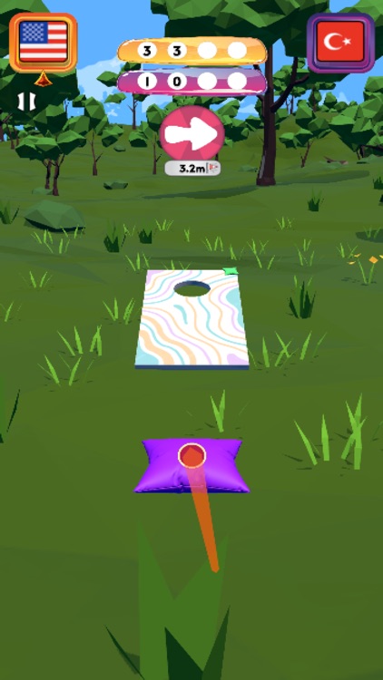 Cornhole 3D: Nations League screenshot-6