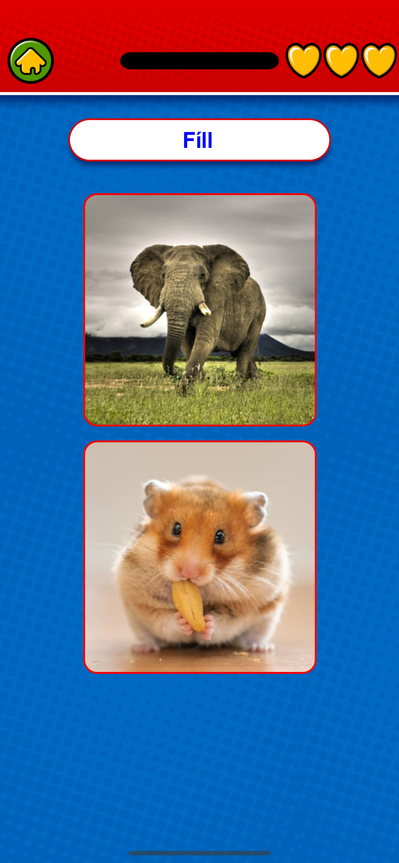 Learn Icelandic Flashcards