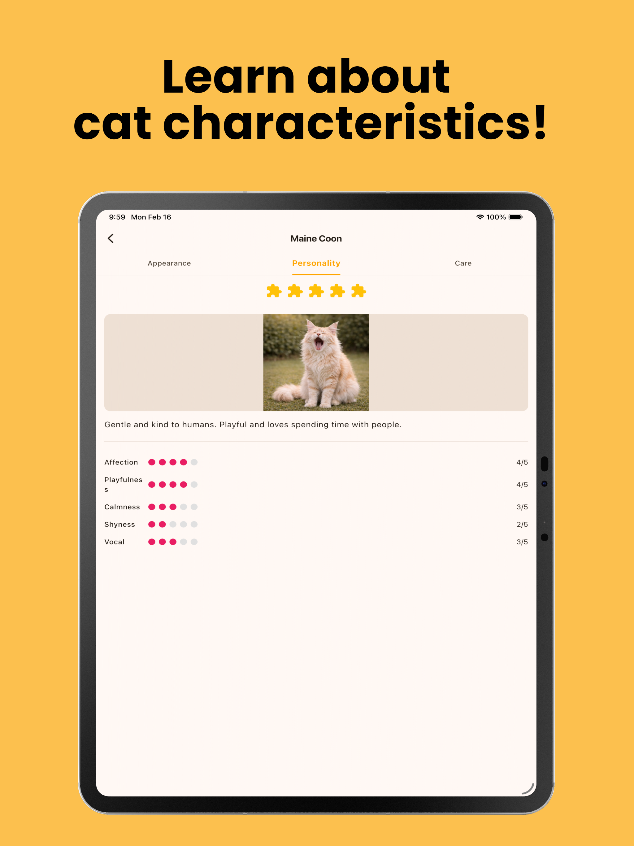 Cat Expert Academy screenshot 10